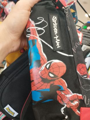 Εικόνα της ΚΑΣΕΤΙΝΑ SPIDERMAN