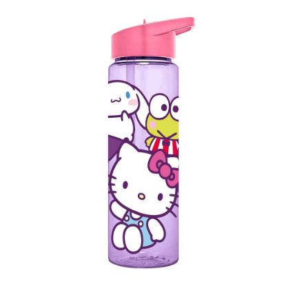 Εικόνα της Hello Kitty and Friends bottle 600ml