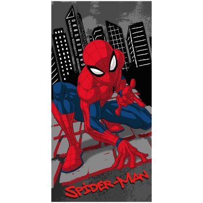 Εικόνα της ΠΕΤΣΕΤΑ ΘΑΛΑΣΣΗΣ SPIDERMAN