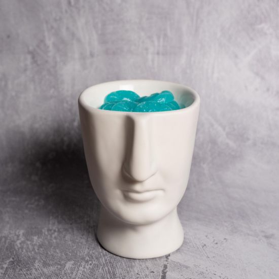 Εικόνα της Αρωματιστής Scentchips Visage λευκός