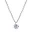 Εικόνα της Necklace, Stainless Steel